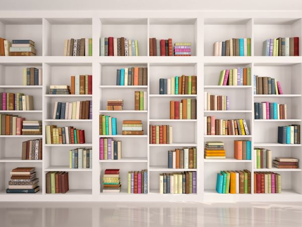 Bookshelf Assembly in Owings Mills